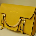 coccinelle1