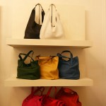 coccinelle2
