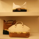 coccinelle3