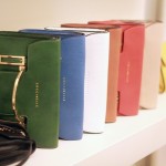 coccinelle8