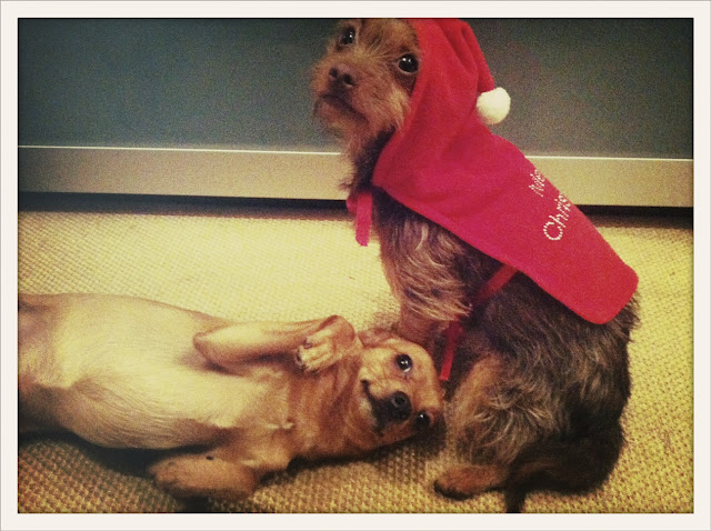 ninadiornatale